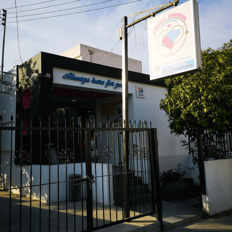 Small Animal Hospital SHpets Vet Clinic and hospital in Limassol